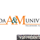 Image via Florida A&M University; illustration by Erendira Mancias/FMG